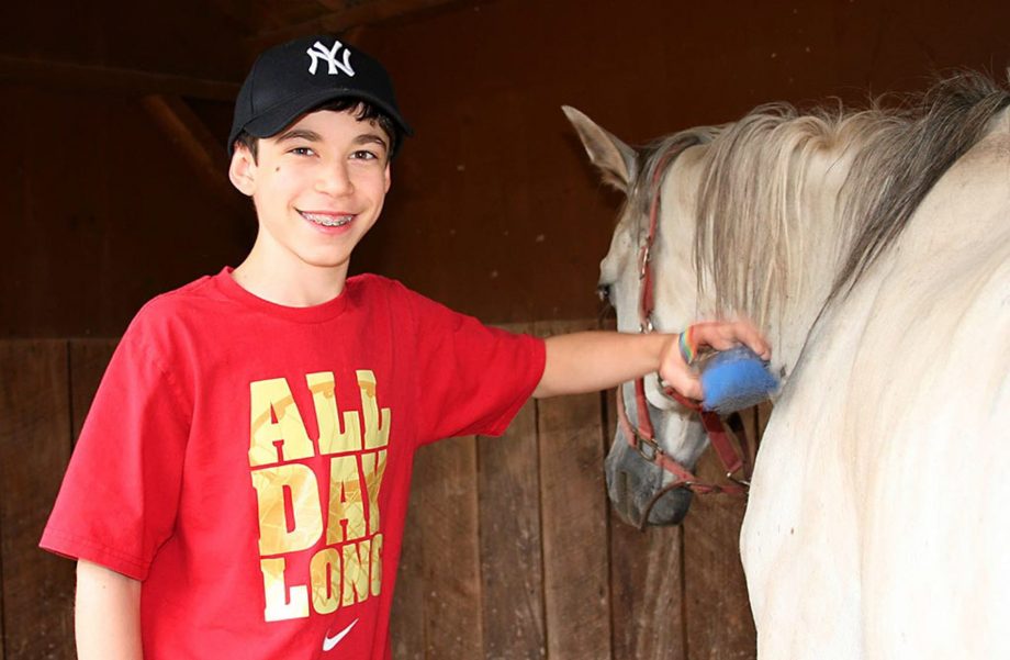 boy brushing horse