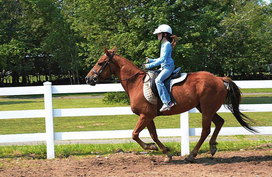 Horseback riding in a ring