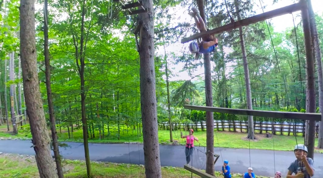 Ladder at high ropes course